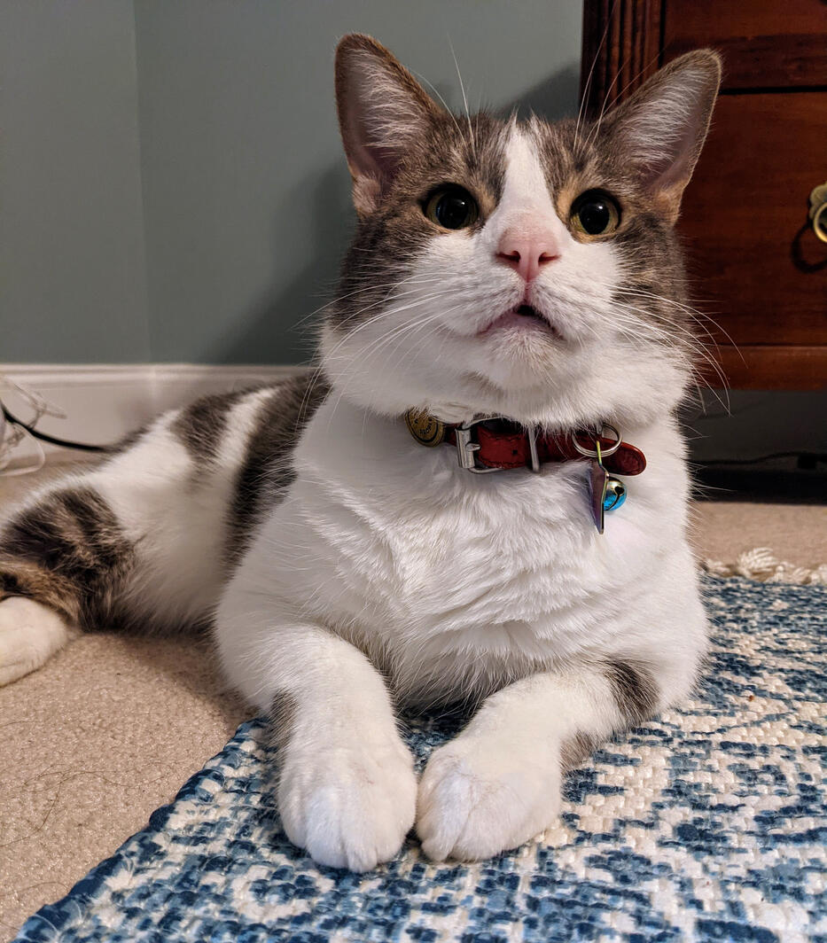 Lenny
